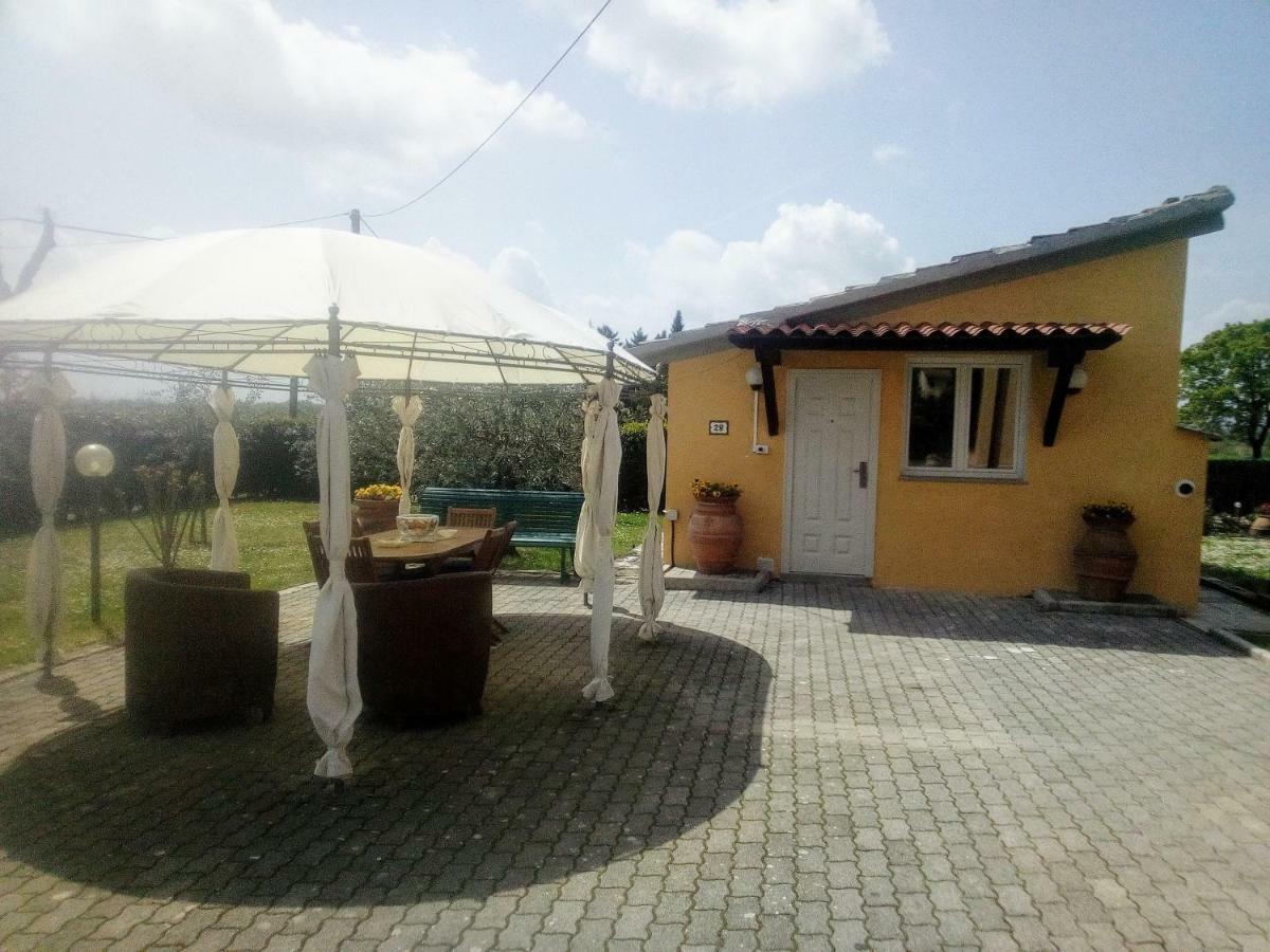 Appartamento Grey Arezzo Ngoại thất bức ảnh